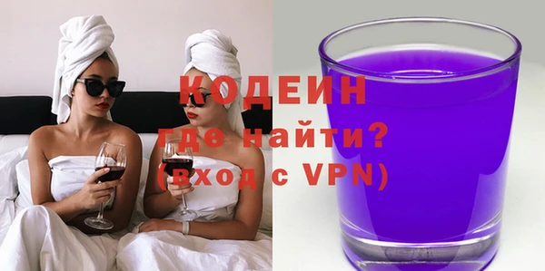 индика Касимов