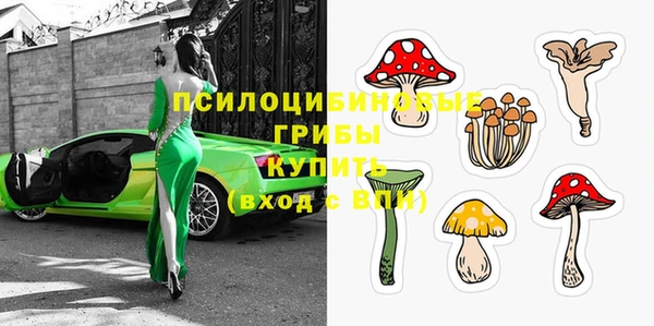винт Баксан