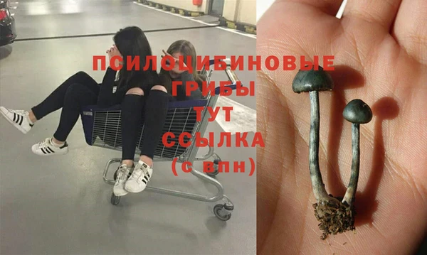 гидра Балабаново